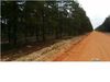 Amoshayes Trail photo